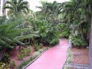 DSCN1330.jpg
